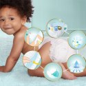Pampers premium care comfort pieluszki dla dzieci 44szt 11-16kg r5 Niemcy